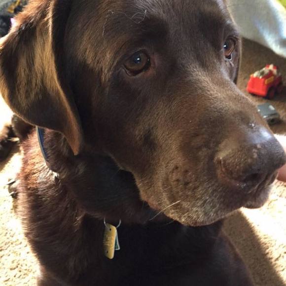 Meet your Posher, Brian - Picture 1 of 1